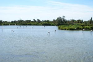 Vue d'une partie du parc