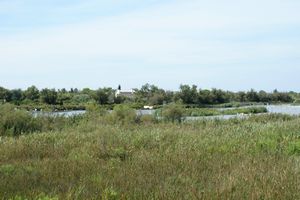 Vue plus étendue sur le parc