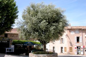 Place devant l'église