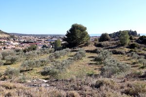 Nature dans les hauteurs de la ville