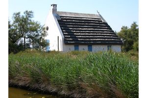 Une maison camarguaise