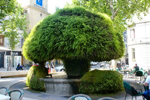 Fontaine moussue sur la place Crousillat