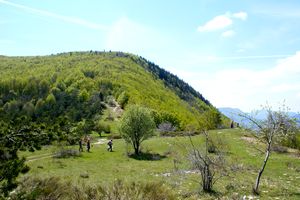 En approche de la table d'orientation