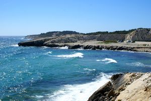 A proximité des Tamaris