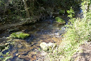 Rivière entre Sivergues et Buoux