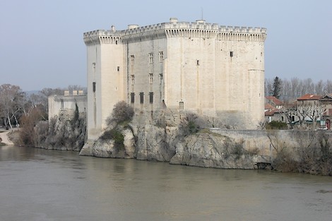 Le château au bord du Rhône