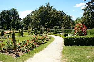 Un des jardins fleuris du Parc Jouvet