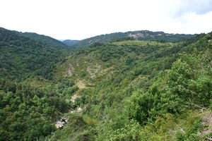 Vallée de l'Eyrieux