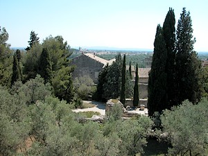 Dans les hauteurs du fort