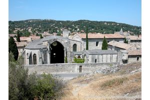 Dans les hauteurs du site